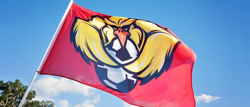 Custom team flags - Flags to advertise, support and brand your team