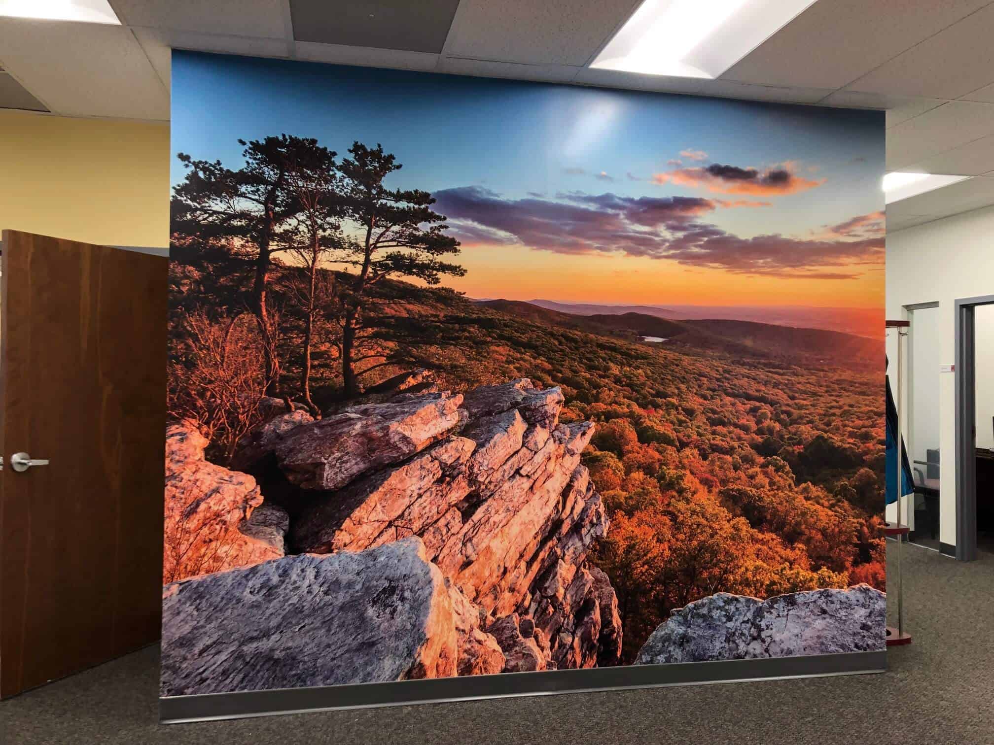Large photo murals