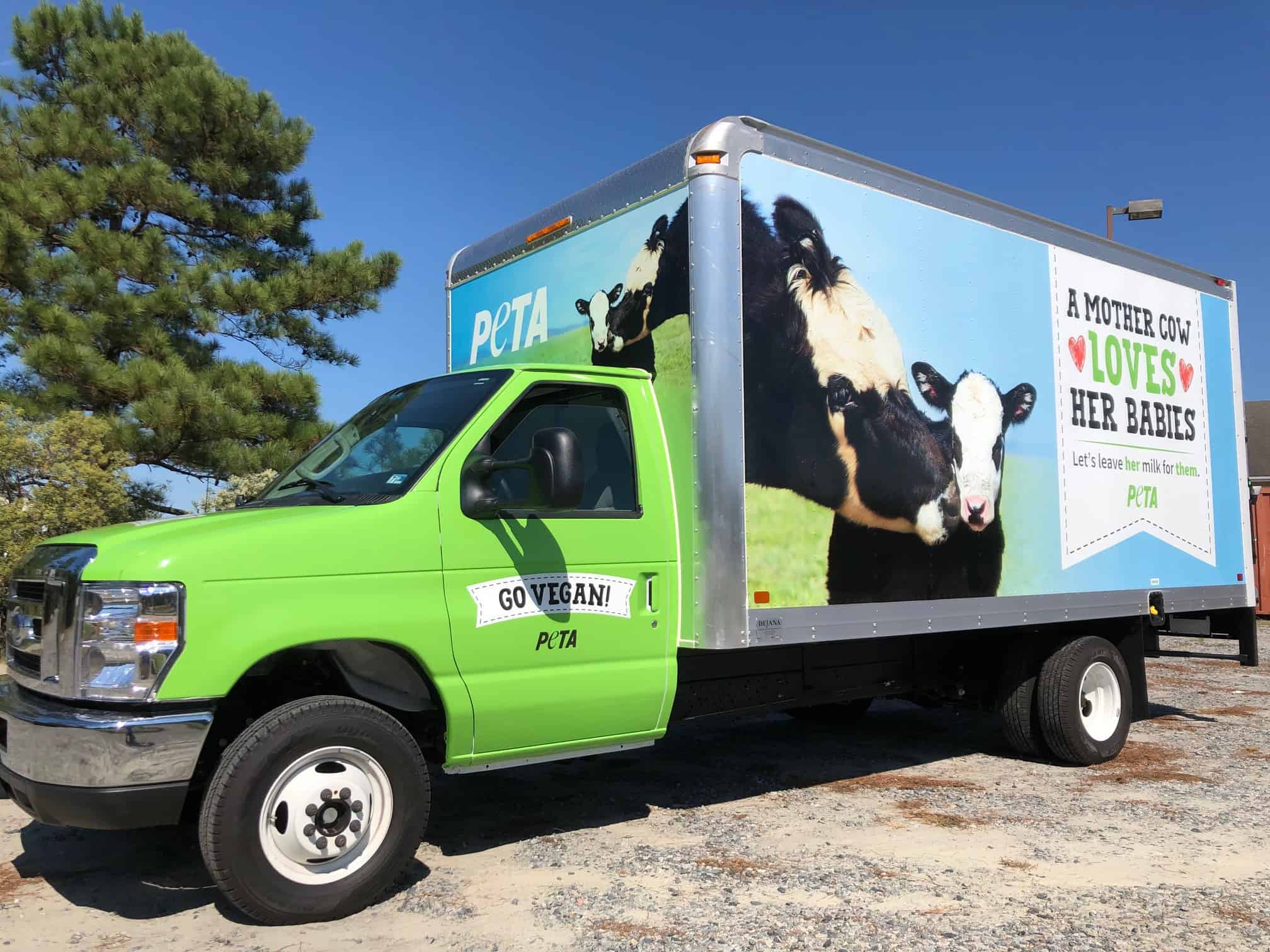 Box truck wrapping for PETA. We can wrap your company trucks, any size at DeSigns, Inc.