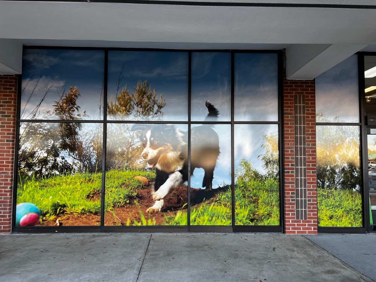 Window Vinyl Wraps for storefronts by DeSigns, Inc., Chesapeake, VA